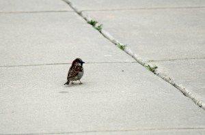 OK, this was back at the office.