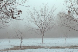 I ended up staying home sick today, meaning this was my view this morning.