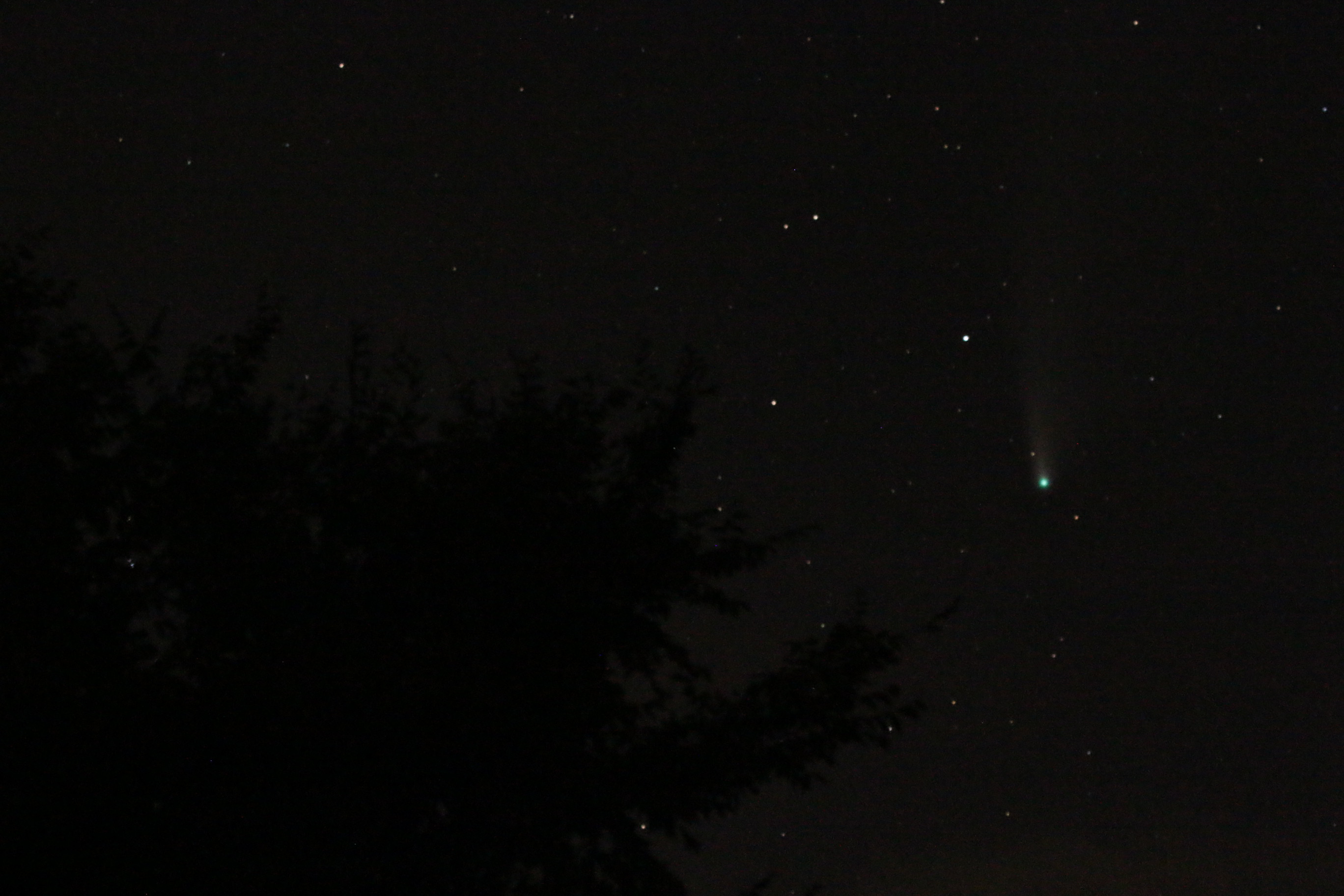 Comet NEOWISE1 07232020